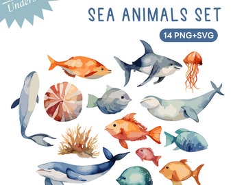 Sea Ocean Water Animals in realism style clipart/PNG