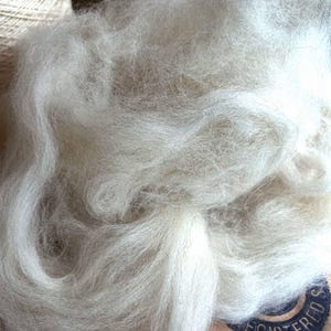 May include: A close-up shot of a mass of soft, white fibre. The fibres are fluffy and textured, with a slightly off-white hue. The material appears to be natural, possibly wool or a similar textile fibre, suitable for crafting or textile projects.