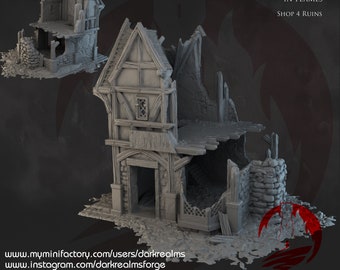 Ruinas de la tienda Briarwood, terreno miniatura de DnD impreso en 3D