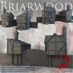 dnd Briarwood Gatehouse Miniature Terrain for Dungeons and Dragons, D&D, D and D, Mordheim, 40k, Pathfinder, Tabletop wargaming