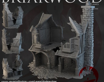 Briarwood Shop Ruins, 3D Printed Miniature Terrain, D&D Tabletop