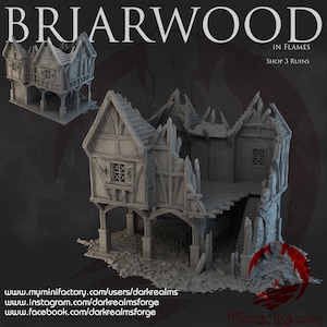 Briarwood Shop Ruins, 3D Printed Terrain for D&D, Pathfinder