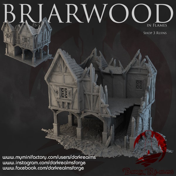 Briarwood Shop 3 Ruins by Dark Realms DnD Miniature Terrain for Dungeons and Dragons, D&D, D and D, Mordheim, 40k, Pathfinder, Tabletop