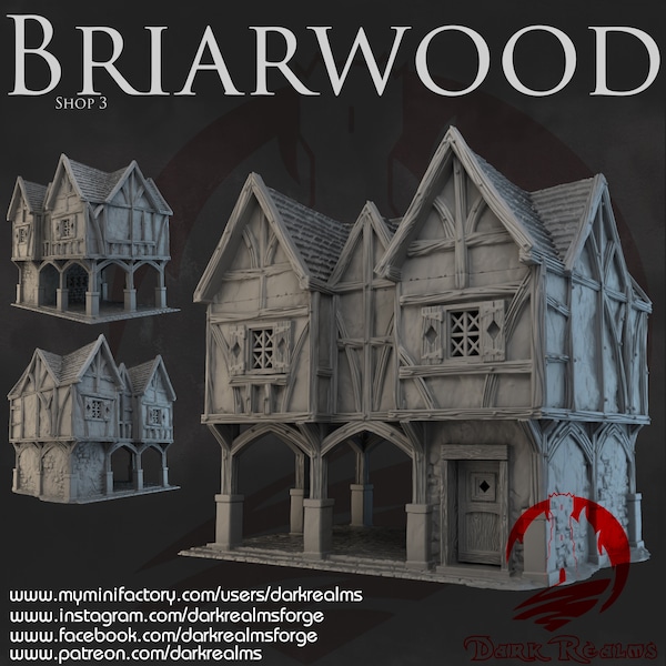 Briarwood Shop 3 by Dark Realms DnD Miniature Terrain for Dungeons and Dragons, D&D, D and D, Mordheim, 40k, Pathfinder, Tabletop wargaming