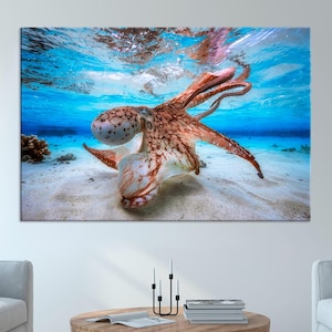 Octopus Canvas Wall Art – Underwater Ocean Scene – Marine Life Photography Print for Coastal Home Decor, Rolled or Framed