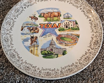Texas State Plate