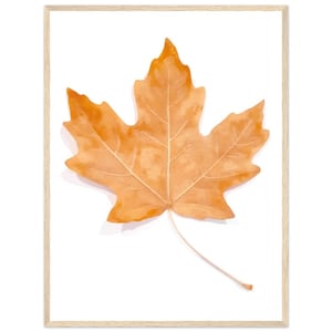 Maple Leaf Love – Poster, Premium-Poster aus halbglänzendem Papier mit Holzrahmen
