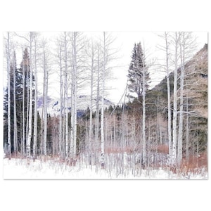 A Winter&#39;s Day - Premium Semi-Glossy Paper Poster