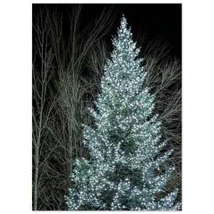 Luci dell'albero - Poster in carta semilucida premium