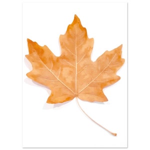 Maple Leaf Love - Poster, Premium Seidenpapier