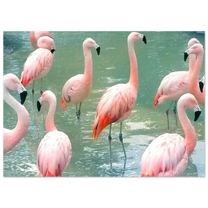 Flamingos Hanging Out - Poster,  Premium Semi-Glossy Paper
