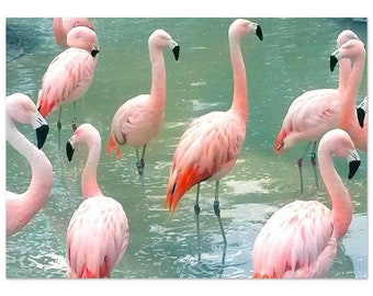 Pink Flamingos Poster: Cheery Winter Pond Art Print