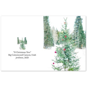 O Christmas Tree - Paquete de 10 tarjetas de felicitación (sobres estándar) (EE. UU. y California)