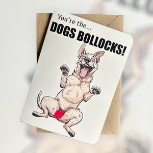 Carte d'anniversaire chien drôle Carte d'anniversaire chien grossier Carte d'anniversaire chien coquine Carte d'anniversaire carte d'anniversaire meme chien Carte d'anniversaire carte drôle
