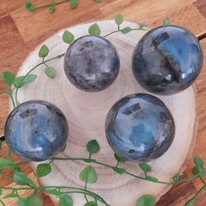 Pode incluir: Quatro esferas de labradorita polidas e lisas em tons de azul e cinza, dispostas sobre uma superfície de madeira com folhagem verde.