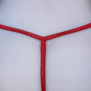 May include: Red lingerie with a thin strap design.
