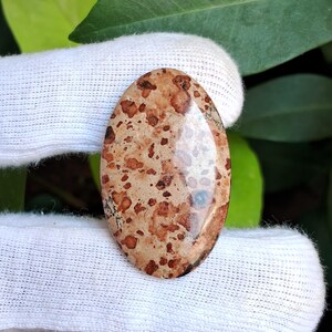 May include: An oval-shaped gemstone with a polished surface. The stone features a beige base color with numerous reddish-brown and black spots. The gemstone is held by a white glove, with green foliage in the background.