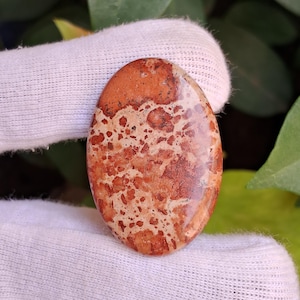 May include: Oval-shaped gemstone with a polished surface. The stone features a mix of tan, brown, and reddish-brown colors with a speckled pattern. The gemstone is held by a white fabric.