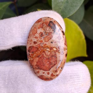 May include: Oval-shaped gemstone with a polished surface. The stone features a mix of reddish-brown, tan, and cream colors with intricate patterns. The gemstone is held by a white gloved hand, with green foliage in the background.