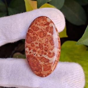 May include: Oval-shaped gemstone with a speckled pattern. The stone features a mix of reddish-brown and tan hues, with a polished, glossy surface. The gemstone is held by a white fabric.