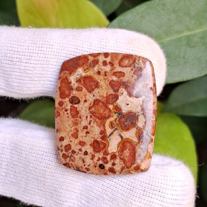 May include: A polished, rectangular gemstone with rounded corners. The stone features a mottled pattern of reddish-brown spots and patches on a beige background. The surface is smooth and reflective, with a natural, earthy appearance.