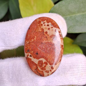 May include: Oval-shaped gemstone with a mottled pattern of reddish-brown and tan hues. The polished surface displays a natural, organic design. The stone is held against a white fabric background, with green foliage visible in the background.