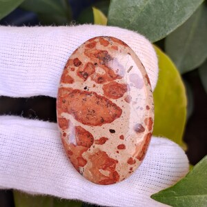 May include: An oval-shaped gemstone with a polished surface. The stone features a beige base color with irregular patterns of reddish-brown and black spots. The gemstone is held against a white fabric background, with green leaves visible.