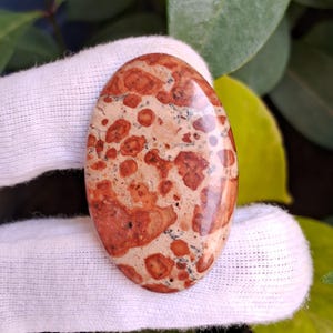 May include: Oval-shaped gemstone with a speckled pattern. The stone features a beige base color with reddish-brown spots and inclusions. The polished surface reflects light, highlighting the natural variations in the stone's texture and color.