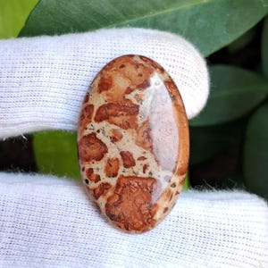 May include: Oval-shaped gemstone with a polished surface. The stone features a pattern of reddish-brown and beige spots and patches. The gemstone is held against a white fabric background, with green foliage visible in the background.