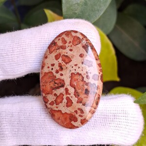 May include: Oval-shaped gemstone with a speckled pattern. The stone features a light tan base color with reddish-brown spots and a polished, glossy finish. The gemstone is held by a white gloved hand, with green leaves in the background.