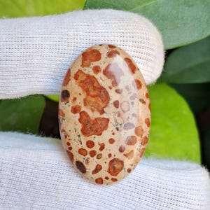 May include: Oval-shaped gemstone with a polished surface. The stone features a beige base color with numerous reddish-brown spots and patches. The pattern is organic and visually striking, with variations in size and intensity.