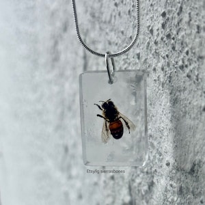 May include: A silver chain necklace with a clear rectangular pendant containing a preserved bee. The bee is brown and black with orange stripes.