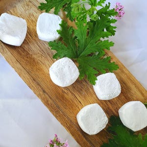 12 Pack Natural Dishwasher Tablets: Biodegradable, Hard Water Formula