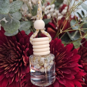 Auto Diffusor/Aromatherapie/Lufterfrischer/Autozubehör/Gute Gerüche/Minimalistisch/Lang anhaltender Diffusor/Hängediffusor/Ästhetik/Schön