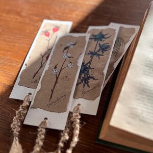 set di segnalibri artistici ad acquerello. set di segnalibri retrò dipinti a mano originali. baccello di papavero di cotone, rosa, grano. accessori per libri regalo