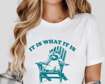 It Is What It Is But It Isn't Great Shirt, Funny Raccoon Meme T-Shirt, Vintage Style Mood Sweatshirt, Sarcastic Animal Tee, Humor Gift