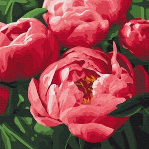 Pintura de peonía sobre lienzo ENMARCADA Pintura por números Pintura de peonías florales para adultos Colorear por números Decoración de pared moderna Kits de bricolaje para adultos