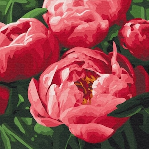 Pintura de peonía rosa sobre lienzo ENMARCADA Kits de pintura de flores por números para adultos Cuadro de pared DIY Regalo para mamá Flores de verano Regalo colorido hecho a mano