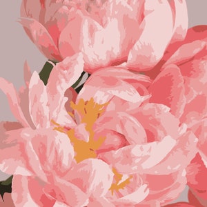 Pintura de flores de peonía sobre lienzo Cuadro enmarcado Peonías rosas flores de verano Kit de pintura por números para adultos Regalo de vibraciones positivas DIY Hogar acogedor