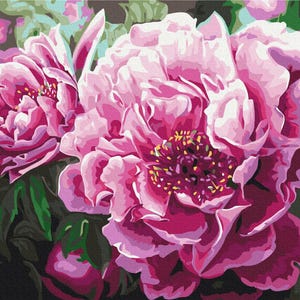 Pintura de peonía rosa sobre lienzo ENMARCADA para colorear por números, arte de flores, kit de manualidades para adultos, arte de pared, regalos de cumpleaños para ella, decoración floral para el hogar