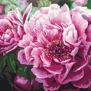 Peony paining FRAMED picture spring flowers painting on canvas kits for adults Pink peonies paint by numbers Floral perfect mom gift