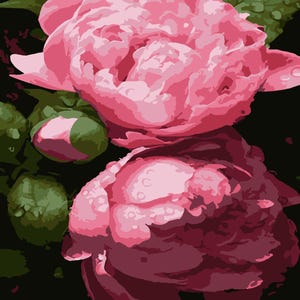 Pintura de peonía sobre lienzo negro ENMARCADA, arte de pared con flores de primavera, para colorear por números para adultos, estampado floral, manualidades, regalos de bricolaje, decoración del hogar, regalo
