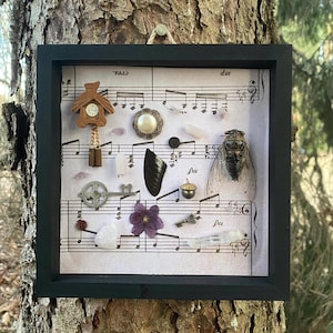 Snuisterijlijst | Cicade, vlindervleugel, kristallen, curiosa: