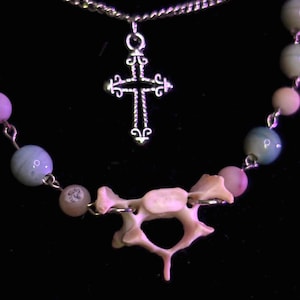 Raccoon Vertebrae Necklace | Oddities, Animal Bone Jewelry, Gothic Accessories