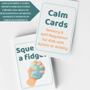 Jeu de cartes The Calm Cartes sensorielles et d'autorégulation pour enfant autiste ou anxieux Éducation spécialisée et outil sensoriel, lot de 12 cartes
