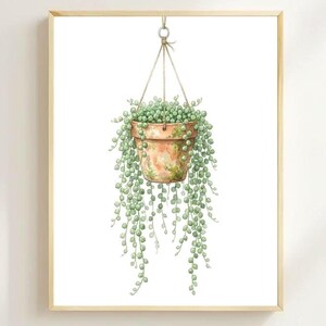 May include: Watercolor print of a hanging string of pearls plant in a terracotta pot. The plant is suspended by a rope from a wooden frame. The artwork features a white background and a wooden table.