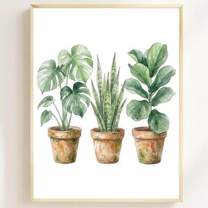 May include: Watercolor painting of three potted plants: a Monstera, a snake plant, and a fiddle-leaf fig. The plants have green leaves and are in terracotta pots. The artwork is framed in a light wood frame.