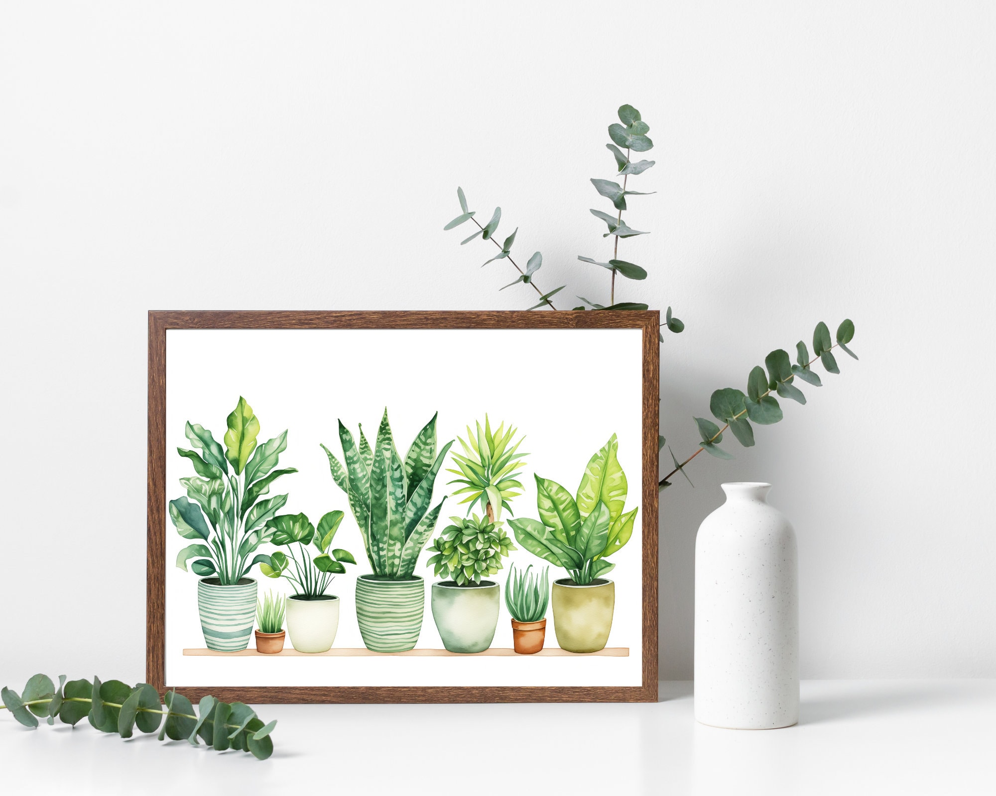 Lush Potted Houseplant preview 2