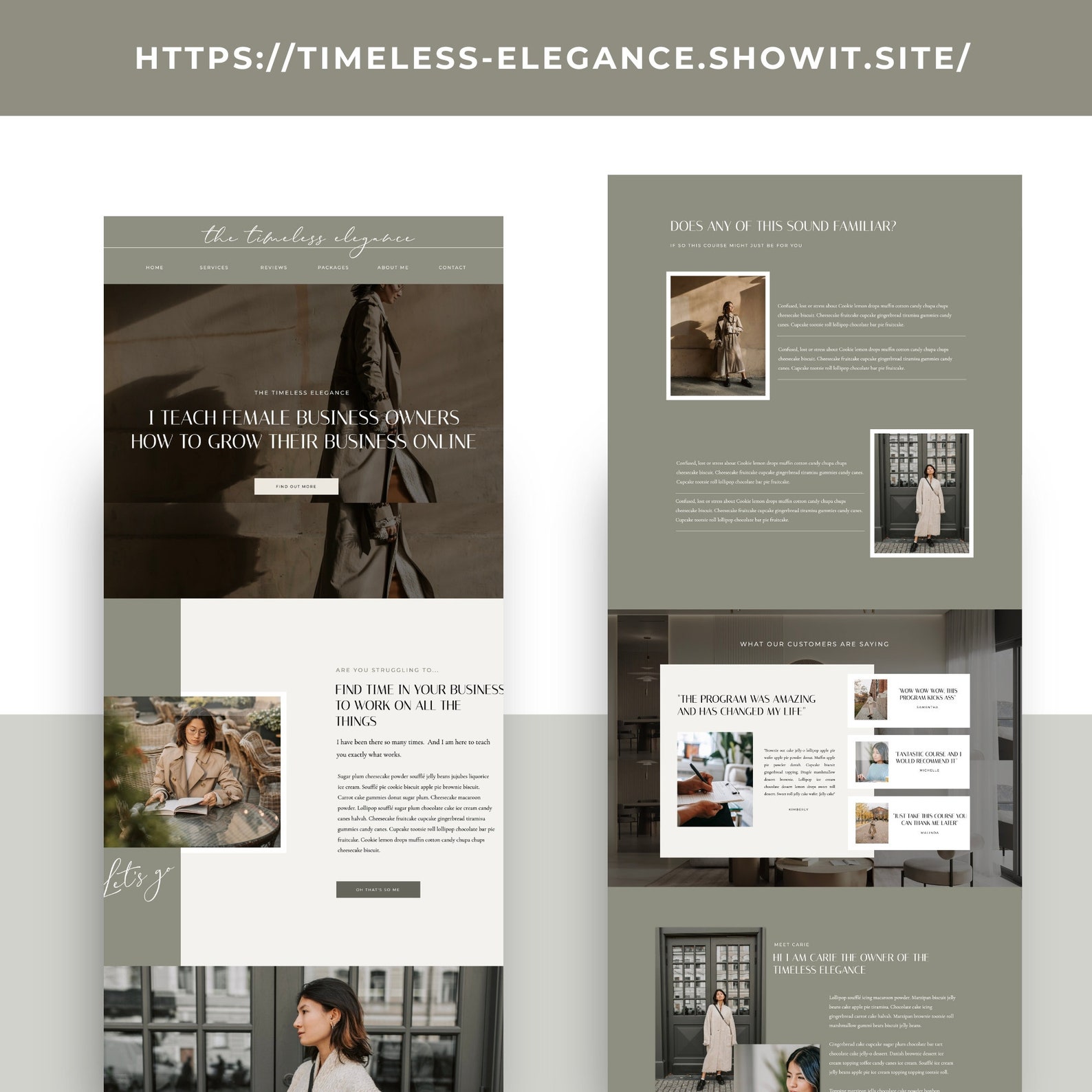 Showit Sales Page Template, Showit Website Template, Business Sales