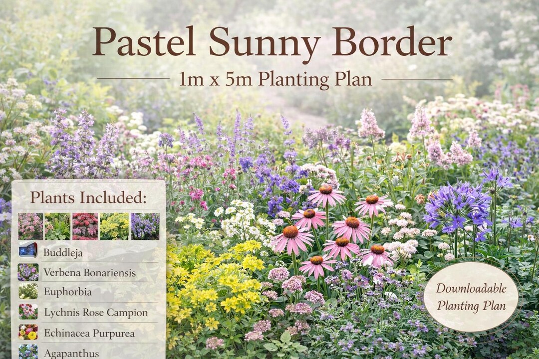 Sunny Pastel Border Planting Plan – Drought Tolerant, Bee-friendly ...
